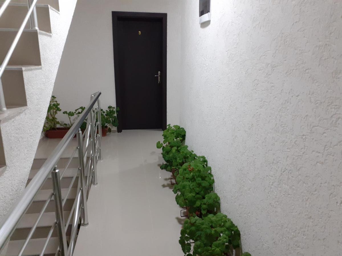 Apartments Filemi Ohri Dış mekan fotoğraf